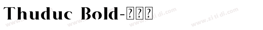 Thuduc Bold字体转换